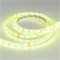 Лента RTW 2-5000SE 24V RGB 2X (5060, 300 LED, LUX) 014794 - фото 32577