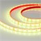Лента RTW 2-5000PGS 24V RGB 2X (5060, 300 LED) 2000000244389 - фото 32606