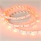 Лента RT 2-5000 12V Orange (5060, 150 LED, LUX) (arlight, 7.2 Вт/м, IP20) 015898 - фото 32631