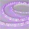 Лента RT 2-5000 12V RGB (5060, 150 LED, LUX) (arlight, 7.2 Вт/м, IP20) 010596(B) - фото 32644