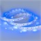 Лента RT 2-5000 12V Blue (5060, 150 LED, LUX) (arlight, 7.2 Вт/м, IP20) 010592 - фото 32648