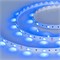 Лента RT 2-5000 12V Blue (5060, 150 LED, LUX) (arlight, 7.2 Вт/м, IP20) 010592 - фото 32649