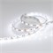 Лента RT 2-5000 12V White 2X (5060, 300 LED, LUX) 012339 - фото 32679