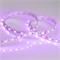 Лента RT 2-5000 12V Pink 2X (5060, 300 LED, LUX) (arlight, 14.4 Вт/м, IP20) 015975 - фото 32689
