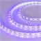 Лента RT 2-5000 12V UV400 2X (5050, 300 LED, W) 2000000241821 - фото 32716