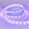 Лента RT 2-5000 12V UV400 2X (5050, 300 LED, W) 2000000241821 - фото 32717