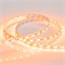 Лента RT 2-5000 12V Orange 2x (5060, 300 LED, LUX) (arlight, 14.4 Вт/м, IP20) 015972 - фото 32720
