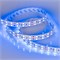 Лента RT 2-5000 24V Blue 2x2 (5060, 600 LED, LUX) (arlight, 28.8 Вт/м, IP20) 011257 - фото 32752