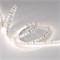 Лента RT 2-5000 24V Day4000 2x (2835, 600 LED, PRO) (arlight, 14.4 Вт/м, IP20) 015698(B) - фото 32783