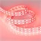 Лента RT 2-5000 24V RGB 2x2 (5060, 720 LED) 012905 - фото 32794