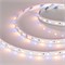 Лента RT6-5050-60 24V RGB-Warm 2x (300 LED) (arlight, 14.4 Вт/м, IP20) 018327 - фото 32831
