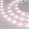 Лента RT6-5050-60 24V RGB-White 2x (300 LED) (arlight, 14.4 Вт/м, IP20) 018325 - фото 32836