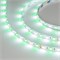 Лента RT6-5050-60 24V RGB-White 2x (300 LED) (arlight, 14.4 Вт/м, IP20) 018325 - фото 32837