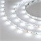 Лента RT6-5050-60 24V RGB-White 2x (300 LED) (arlight, 14.4 Вт/м, IP20) 018325 - фото 32839