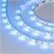 Лента RT6-5050-60 24V RGB-White 2x (300 LED) (arlight, 14.4 Вт/м, IP20) 018325 - фото 32840