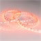 Лента RT 2-5000 24V Orange 2X (5060, 300 LED, LUX 2000000241050 - фото 32851