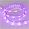 Лента RTW 2-5000SE 24V RGB (5060, 150 LED, LUX) (arlight, 7.2 Вт/м, IP65) 021732 - фото 32907