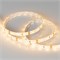Лента RTW 2-5000SE 12V Warm3000 (2835, 300 LED, PRO) (arlight, 7.2 Вт/м, IP65) 020519(1) - фото 32929