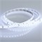 Лента RTW 2-5000SE 24V 2X White (2835, 600 LED, PRO) (arlight, 14.4 Вт/м, IP65) 020528(1) - фото 32942