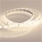 Лента RTW 2-5000SE 24V 2X Warm3000 (2835, 600 LED, PRO) (arlight, 14.4 Вт/м, IP65) 020532(1) - фото 32950