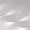 Лента RT 2-5000 24V 2X Day White (2835,600LED,CRI98) Arlight 021410(2) - фото 32953