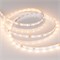Лента RT 2-5000 24V Warm3000 (2835, 300 LED, PRO) (arlight, 7.2 Вт/м, IP20, 5m) 020014(B) - фото 33139