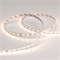 Лента RT 2-5000 24V Warm3000 (2835, 80 LED/m, LUX) (arlight, 6 Вт/м, IP20) 024513(B) - фото 33148