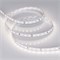 Лента RT 2-5000 24V 1.6X Day White (2835, 490 LED, CRI98) Arlight 021452(2) - фото 33163