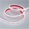 Лента RSW 2-5000P 24V Cool 10K 2x (3014, 120 LED/m, LUX) (arlight, 9.6 Вт/м, IP66) 027043 - фото 33181