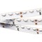 Лента RS 2-5000 24V Blue 2x (335, 600 LED) (arlight, 9.6 Вт/м, IP20) 011664 - фото 33226