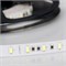 Лента ULTRA-5000 24V DayWhite 2X (5630,300LED,LUX) 2000000241463