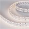 Лента S2-2500 24V Day 4000K 20mm (2835, 280 LED/m, LUX) (arlight, 20 Вт/м, IP20) 021198(1)