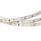 Лента RT2-3528-60-12V White (300 LED) (NormaLED, 4.8 Вт/м, IP20) 014383 - фото 33293