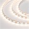 Лента RT2-5050-60-12V Warm White (300 LED) (NormaLED, 14.4 Вт/м, IP20) 014385 - фото 33303