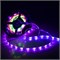 Лента SPI-5000SE-IR21B 12V RGB (5060,150 LED x3,1804, ПДУ) 2000000245218 - фото 33377