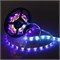 Лента SPI-5000SE-IR21B 12V RGB (5060,150 LED x3,1804, ПДУ) 2000000245218 - фото 33379