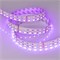 Лента RT 2-5000 24V RGB-White 2x2 (5060, 720 LED) 2000000240398 - фото 33425