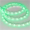 Лента RZ 2-5000 12V Green 2X (5060, 240 LED, 180) 2000000240060 - фото 33492