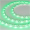 Лента RZ 2-5000 12V Green 2X (5060, 240 LED, 180) 2000000240060 - фото 33493