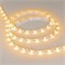 Лента RZ 2-5000 12V Yellow 2X (5060, 240 LED, 180) 2000000244433 - фото 33509