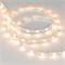 Лента RZ 2-5000 12V Warm2700 2x (5060, 240 LED, Wave) (arlight, 11.5 Вт/м, IP20) 018210 - фото 33514