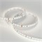 Лента RT 2-5000 24V 2X Neutral White (2835, 600 LED, CRI98) Arlight 021403 - фото 33520