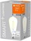 Лампа светодиодная LEDVANCE SMART+ WiFi Filament Edison DIM 60 5.5W 2700K E27 806Lm d64x143mm 4058075528277 - фото 35220