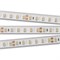 Лента RTW 2-5000PGS 24V Cool 2x (3528, 600 LED) 2000000242057 - фото 41636