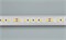 Лента RT 6-5050-96 24V Warm2700 3x (480 LED) (arlight, 23 Вт/м, IP20) 017425 - фото 42408