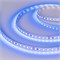 Лента RT 2-5000 24V Blue 2x (3528, 600 LED, LUX) (arlight, 9.6 Вт/м, IP20) 008783(1) - фото 42765