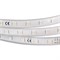 Лента ARL-W5060PG-54-220V Blue (540 LED, 10m) 020452 - фото 42807