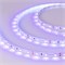 Лента RT 2-5000 12V UV400 (3528, 300 LED, W) (arlight, 4.8 Вт/м, IP20) 012813 - фото 42815