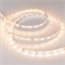 Лента RT 2-5000 24V Warm3000 (2835, 300 LED, PRO) (arlight, 7.2 Вт/м, IP20, 5m) 020014(B) - фото 42952