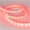 Лента RTW 2-5000SE 24V Red 2x (5060, 300 LED, LUX) (arlight, 14.4 Вт/м, IP65) 015597 - фото 43055
